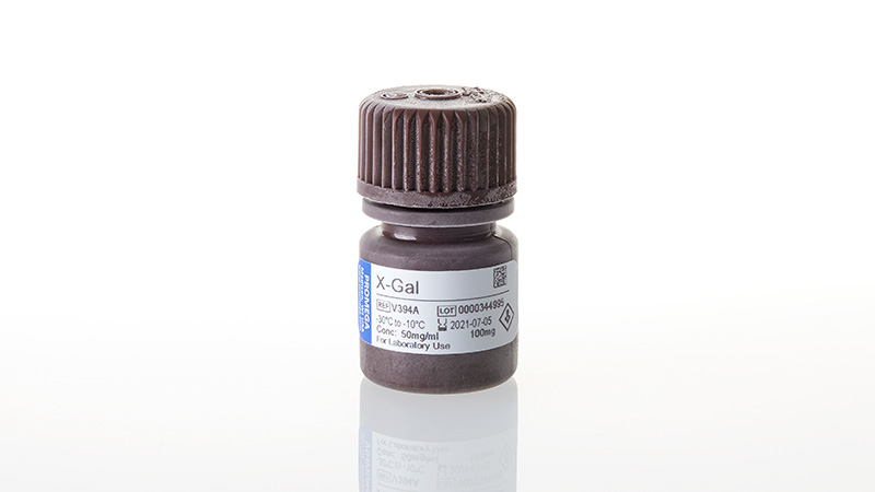 Product image X-GAL, 100 mg
