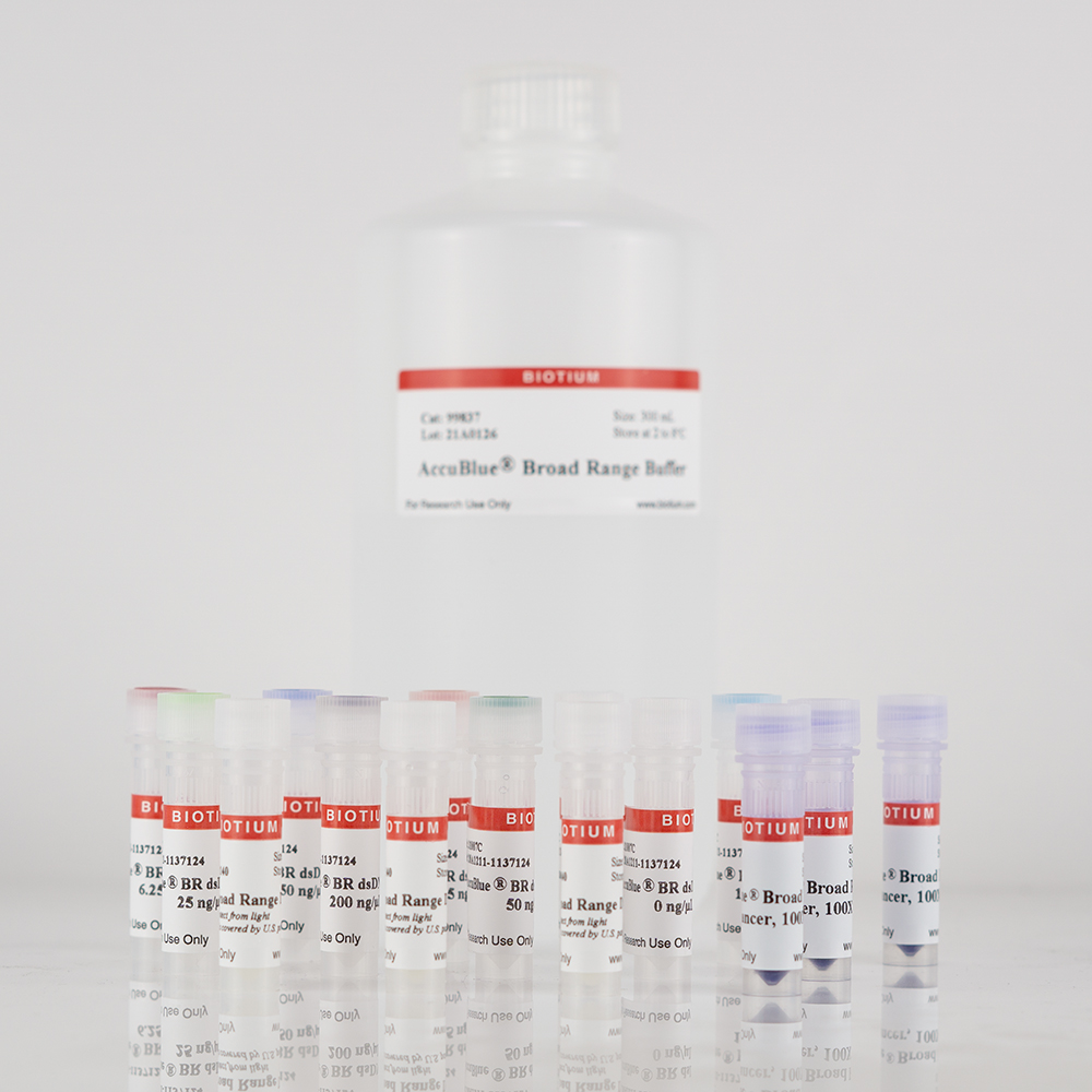 AccuBlue® Broad Range dsDNA Quantitation Standards, set of nine, 0.5 mL each