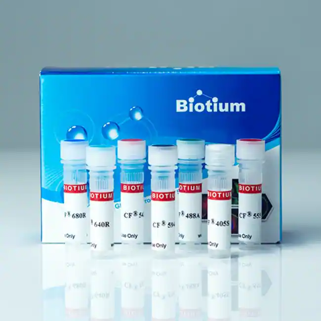 Alpha-Bungarotoxin, CF®488A, 500 ug