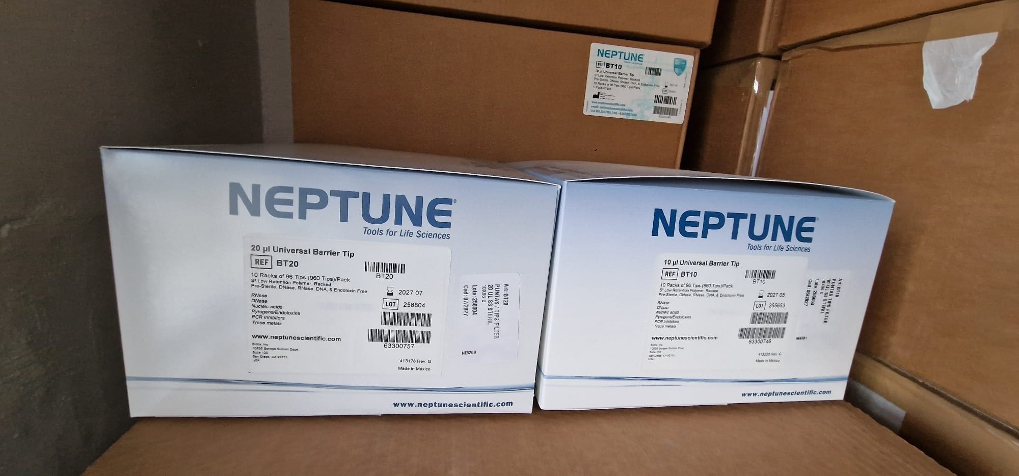 Product image Neptune 100ul barrier tip