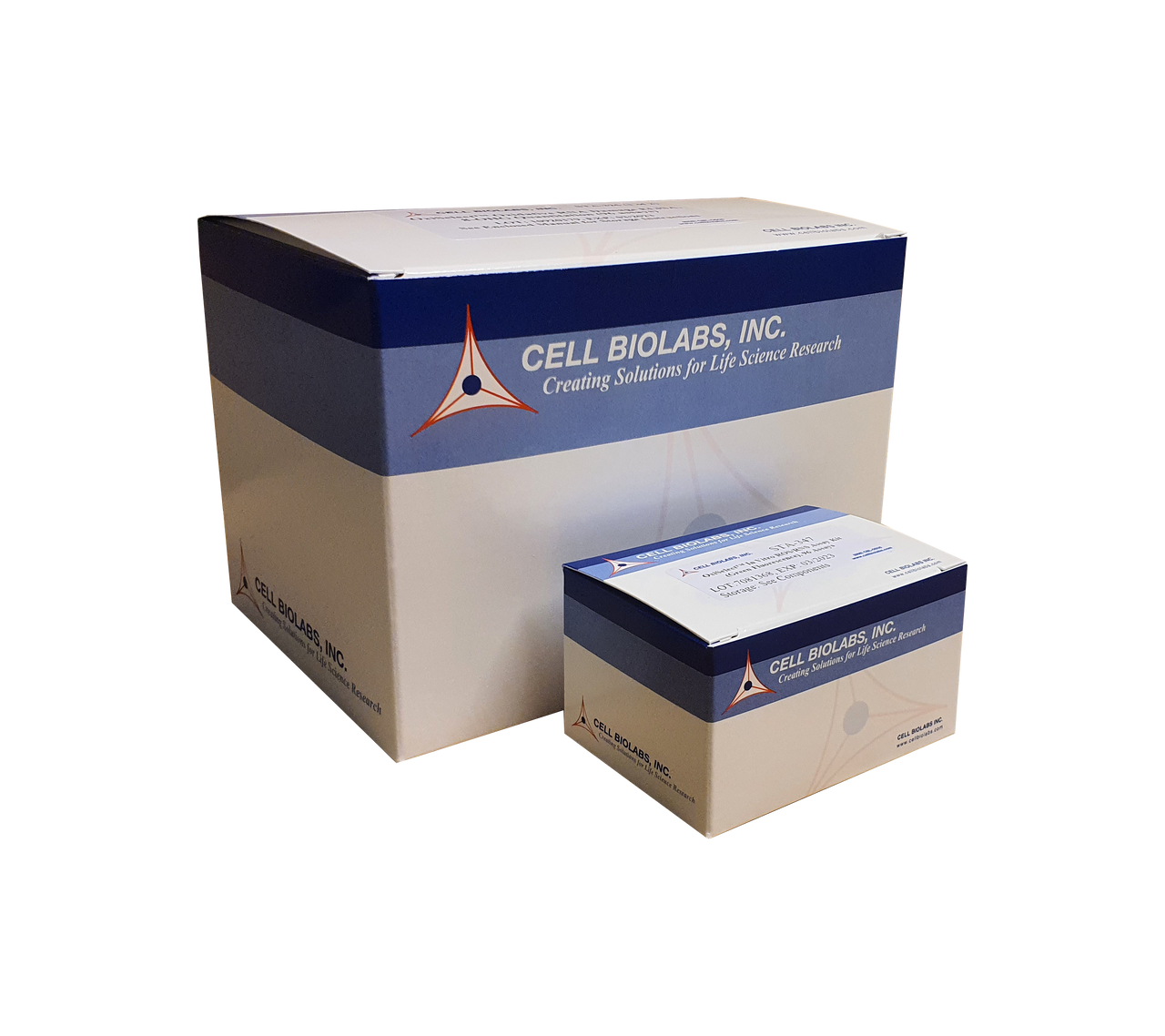 Product image OxiSelect™ Comet Assay Kit (3-Well Slides)