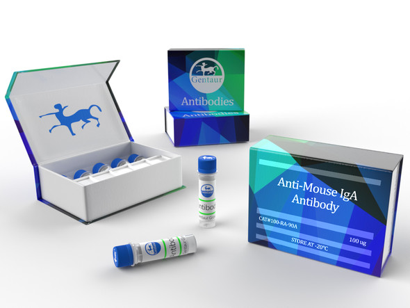 Product image Mouse Anti-OVA IgA Antibody Assay Kit