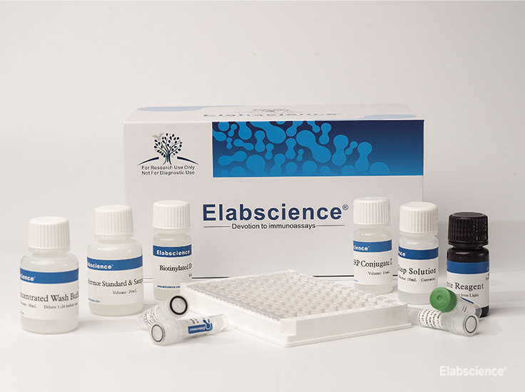 ELISA kit for Human CFTR (Cystic Fibrosis Transmembrane Conductance Regulator)