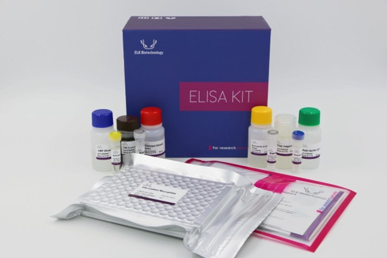 Product image ELISA kit for Human VAMP2 (Vesicle Associated Membrane Protein 2)