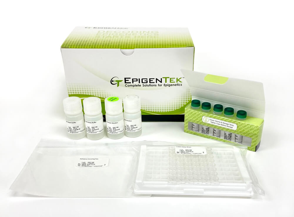 Product image EpiQuik m6A RNA Methylation Quantification Kit (Colorimetric)  