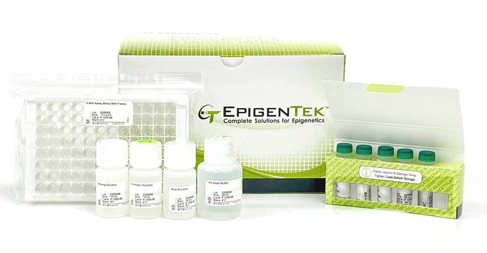 Product image MethylFlash Methylated DNA 5-mC Quantification Kit (Colorimetric)