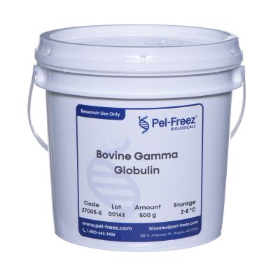 Product image Rabbit Gamma Globulin 500g