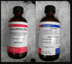 Product image DIRECTPCR LYSIS REAGENT (TAIL)